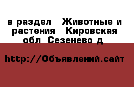  в раздел : Животные и растения . Кировская обл.,Сезенево д.